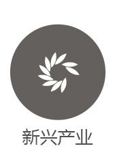 新興產(chǎn)業(yè)